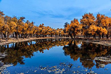 《巫师4》？CDPR正为一个新第三人称游戏招募